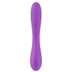 Sweet Smile вибратор Rechargeable Vibrator цена и информация | Вибраторы | kaup24.ee