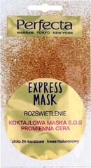 Очищающая маска для лица Perfecta Express 8 мл цена и информация | Маски для лица, патчи для глаз | kaup24.ee