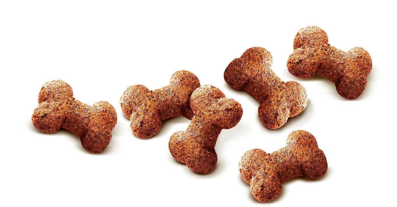 Carnilove Dog Snack Ostrich Blackberries maiused koerale 200g цена и информация | Maiustused koertele | kaup24.ee