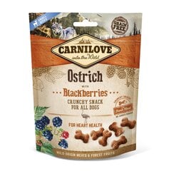 Carnilove Dog Snack Ostrich Blackberries maiused koerale 200g цена и информация | Лакомства для собак | kaup24.ee