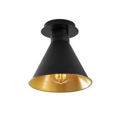 Opviq Alby потолочный светильник Berceste - N-676 цена и информация | Потолочные светильники | kaup24.ee