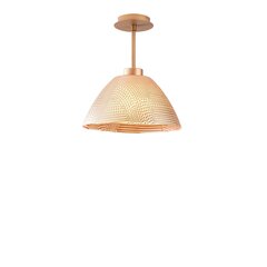 Opviq Alby подвесной светильник Bornova - N-162 цена и информация | Потолочный светильник, 38 x 38 x 24 см | kaup24.ee