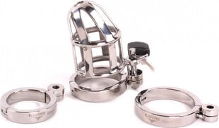 Kiotos Steel Chastity Cage DeLuxe 6.5 cm цена и информация | БДСМ и фетиш | kaup24.ee