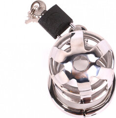 Kiotos Steel Chastity Cage DeLuxe 6.5 cm цена и информация | БДСМ и фетиш | kaup24.ee