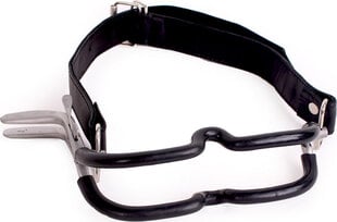 Kiotos Steel Mouth Gag Jennings w/ Medium Rubber Coating цена и информация | БДСМ и фетиш | kaup24.ee