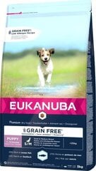 Корм Eukanuba для маленьких щенков, 3 кг. цена и информация | Сухой корм для собак | kaup24.ee