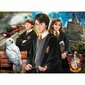 Puslekohver 61882 Harry Potter, 1000 osa hind ja info | Pusled | kaup24.ee