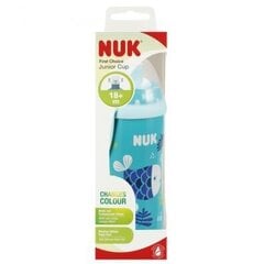 Joogipudel Nuk Junior Cup, sinine, 18+ kuud, 300 ml hind ja info | Lutipudelid ja aksessuaarid | kaup24.ee