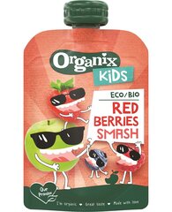 Organix Kids Rte Eco втирая красная ягода, 100 г, 6 упаковок цена и информация | Закуски, напитки для детей | kaup24.ee