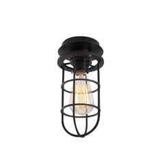 Opviq Alby потолочный светильник Kimil - N-1075 цена и информация | Потолочные светильники | kaup24.ee
