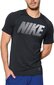 Meeste T-särk Nike hind ja info | Meeste T-särgid | kaup24.ee