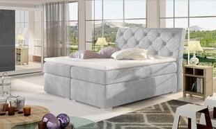 Кровать NORE Balvin, 140x200 см, светло-серый цвет цена и информация | Кровати | kaup24.ee