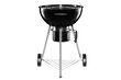 Grill Mustang Gourmet 54 hind ja info | Grillid | kaup24.ee