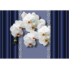 Fototapeet - Orhideed sinisel taustal hind ja info | Fototapeedid | kaup24.ee