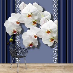 Fototapeet - Orhideed sinisel taustal hind ja info | Fototapeedid | kaup24.ee
