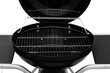 Grill Mustang Austin, 126x62x90 см цена и информация | Grillid | kaup24.ee