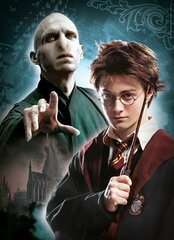 Puslede komplekt Clementoni 61884 Harry Potter, 3 x 1000 osa hind ja info | Pusled | kaup24.ee