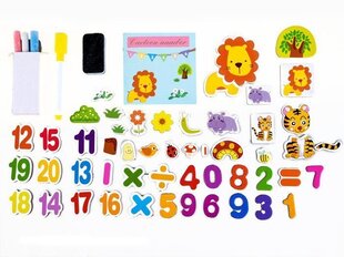 Puidust magnettahvel hind ja info | Arendavad mänguasjad | kaup24.ee