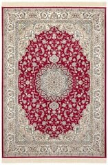 Hanse Home vaip Nouristan Naveh 160x230 cm hind ja info | Vaibad | kaup24.ee