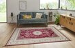 Hanse Home vaip Nouristan Naveh 160x230 cm hind ja info | Vaibad | kaup24.ee