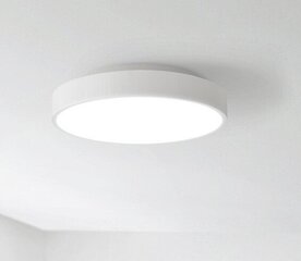 LED laevalgusti Xiaomi Yeelight YLXD12YL hind ja info | Laelambid | kaup24.ee