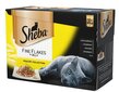 SHEBA Delikatesse Mix linnuliha tükid tarretis 12x85g цена и информация | Konservid kassidele | kaup24.ee