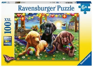 Головоломка Ravensburger Выгул щенков 100 д., 12886 цена и информация | Пазлы | kaup24.ee