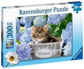 Pusle Ravensburger Kassipoeg, 300 osa, 12894 hind ja info | Pusled | kaup24.ee