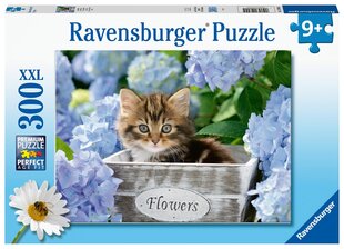 Pusle Ravensburger Kassipoeg, 300 osa, 12894 hind ja info | Pusled | kaup24.ee