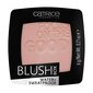 Põsepuna Catrice Blush Box 6 g, 025 hind ja info | Päikesepuudrid, põsepunad | kaup24.ee