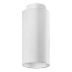 Lampex потолочный светильник Almiro A  цена и информация | Потолочные светильники | kaup24.ee