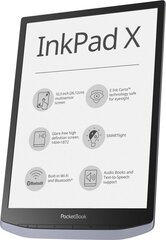 PocketBook InkPad X (PB1040-J-WW), Серый цена и информация | Электронные книги | kaup24.ee