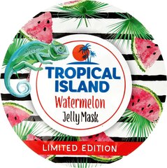 Geeljas näomask Marion Tropical Island 10 g hind ja info | Näomaskid, silmamaskid | kaup24.ee