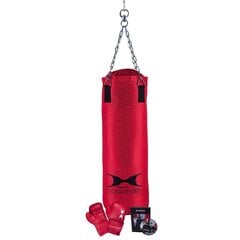 Боксерский комплект Hammer Fit, 60см цена и информация | Боевые искусства | kaup24.ee