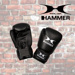 Набор боксерских принадлежностей Hammer Cobra, 100 см цена и информация | Боевые искусства | kaup24.ee