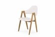 2 tooli komplekt Halmar K247, valge/tamm цена и информация | Söögilaua toolid, köögitoolid | kaup24.ee