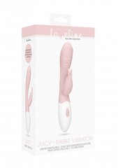 LoveLine вибратор Juicy Rabbit Vibrator цена и информация | Вибраторы | kaup24.ee