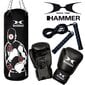 Poksikomplekt Hammer Sparring Pro, 80 cm цена и информация | Poksivarustus | kaup24.ee