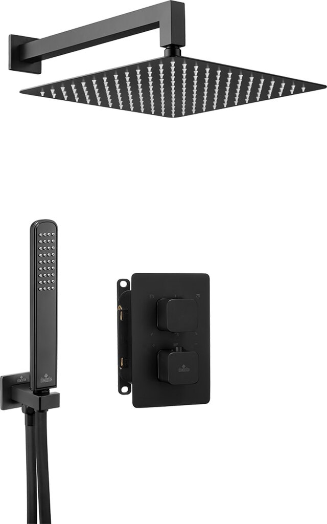 Varjatud termostaadiga dušikomplekt Deante smart-boxiga Box BXYZNECT, black mat цена и информация | Komplektid ja dušipaneelid | kaup24.ee