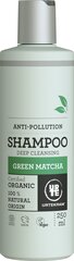 Šampoon kahjustatud juustele Urtekram Green Matcha 250 ml hind ja info | Šampoonid | kaup24.ee