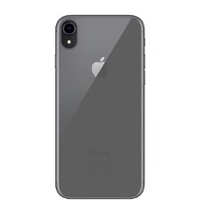 Apple iPhone X/Xs Soft Cover By Big Ben Transparent hind ja info | Telefoni kaaned, ümbrised | kaup24.ee