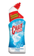 WC-puhastusvahend Cillit Ice Fresh, 750ml hind ja info | Puhastusvahendid | kaup24.ee