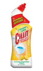 WC-puhastusvahend Cillit Lemon, 750ml hind ja info | Cillit Kodutarbed | kaup24.ee