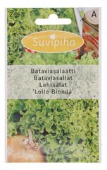 Lehtsalat "Lollo Bionda", 1g hind ja info | Köögivilja-, marjaseemned | kaup24.ee