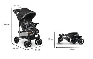 Sportlik jalutuskäru Lionelo Emma Plus, Stone hind ja info | Vankrid, jalutuskärud | kaup24.ee