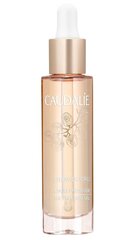 Универсальное сухое масло для лица Caudalie Premier Cru The Precious Oil 29 мл цена и информация | Кремы для лица | kaup24.ee