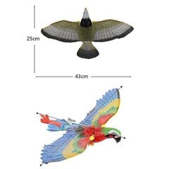 Elektriline papagoikassi mänguasi, vaikne simulatsiooniga linnukassi mänguasi, mis jahib spordivarustust цена и информация | Игрушки для собак | kaup24.ee