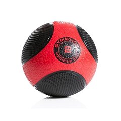 Весовой мяч Gymstick, 2 кг цена и информация | Медболы | kaup24.ee