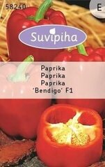 Paprika, üheaastane Bendigo F1 hind ja info | Köögivilja-, marjaseemned | kaup24.ee