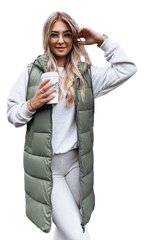 Pikk roheline vest kapuutsiga Far TY3833-57240-XXL цена и информация | Мужская спортивная одежда | kaup24.ee